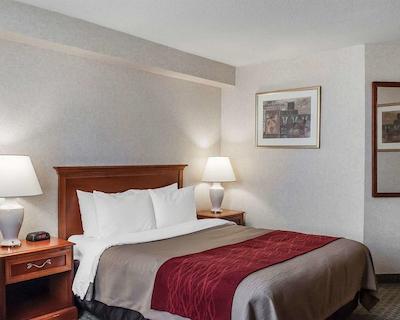 کمفرت ترنتو آیرپرت نرد