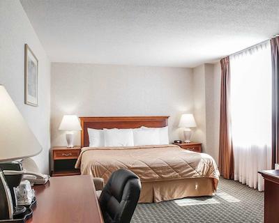 کمفرت ترنتو آیرپرت نرد