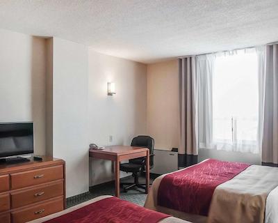 کمفرت ترنتو آیرپرت نرد