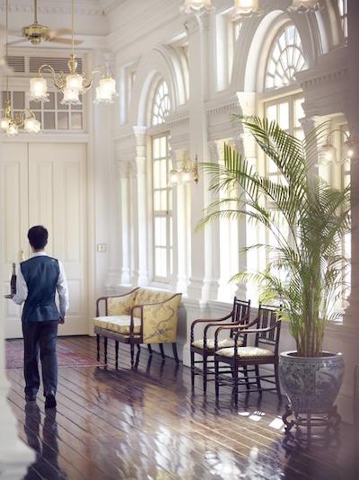 رافلز سنگاپور