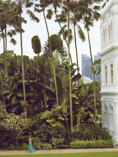 رافلز سنگاپور