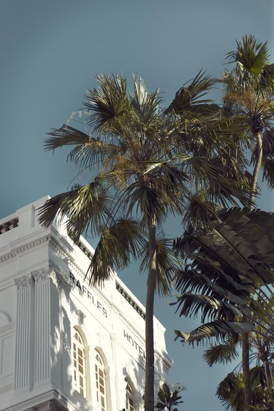 رافلز سنگاپور