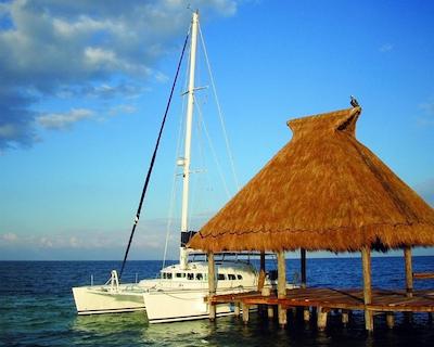 زتری پاریسُ د لا بنیتا ریویرا ما