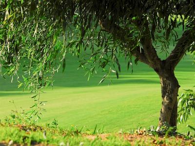 ل مدینا اساویرا هتل دالاسا اسیا اند اسپا-مگالری بای سُفیتل