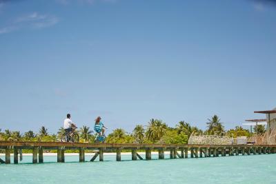 لوکس* ساوت آری آتول