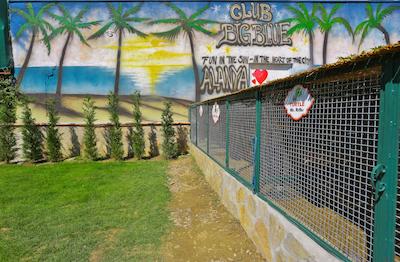 کلوب بیگ بلو سویت هتل