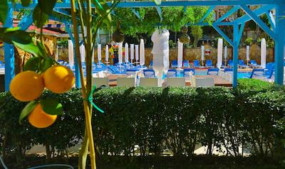 کلوب بیگ بلو سویت هتل