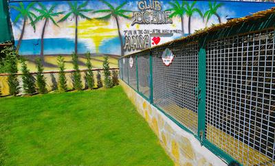 کلوب بیگ بلو سویت هتل