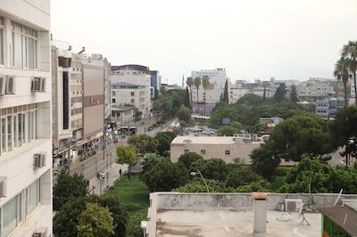 سافاری اُتل