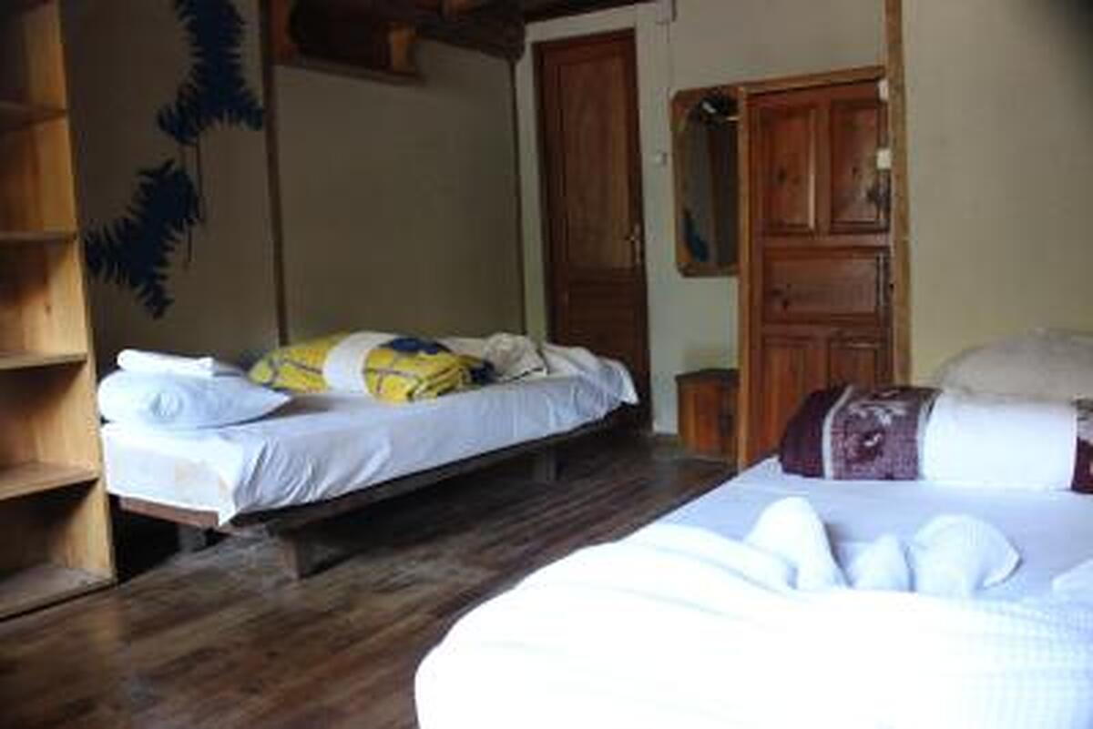 Jungle Bells Hostel