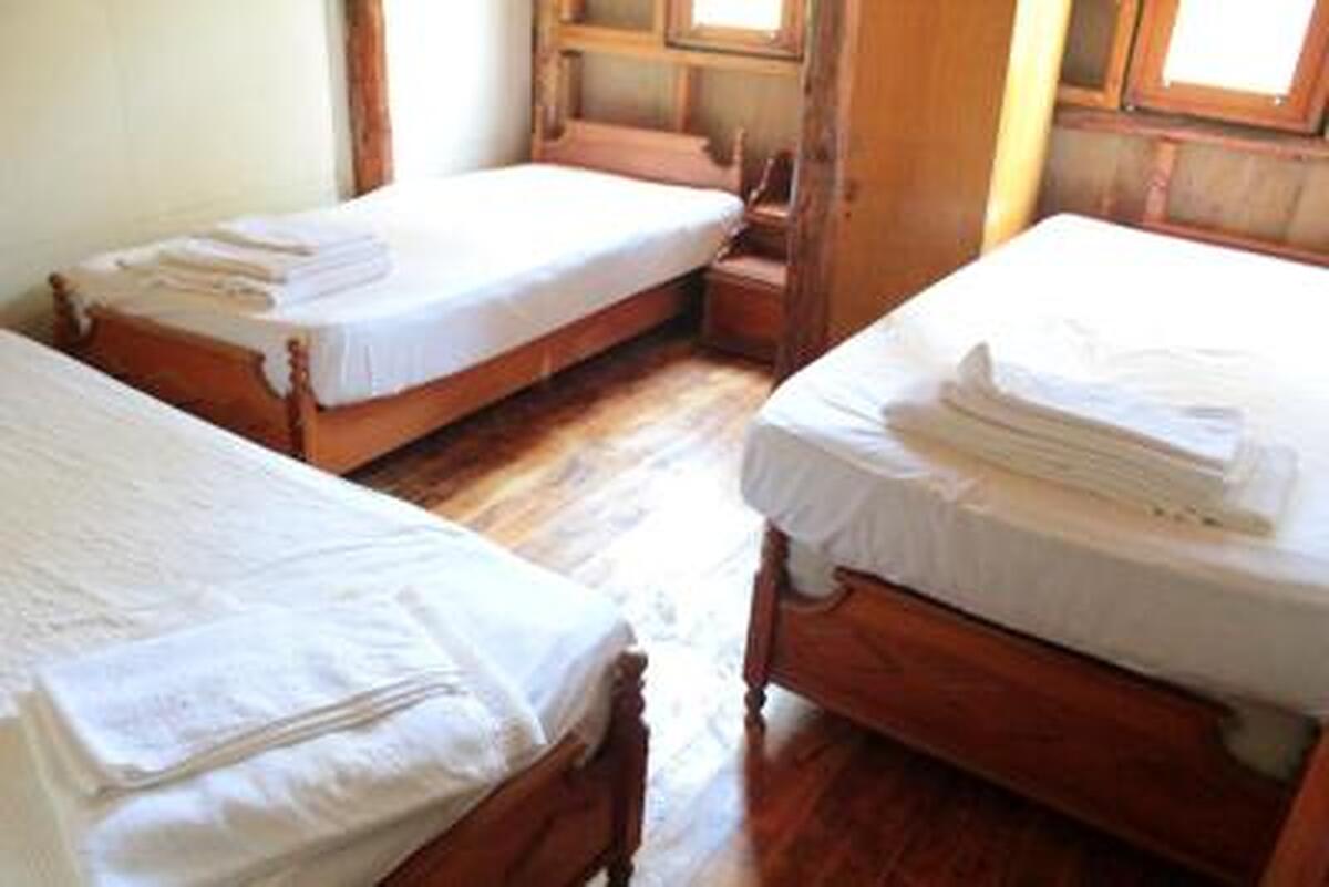 Jungle Bells Hostel