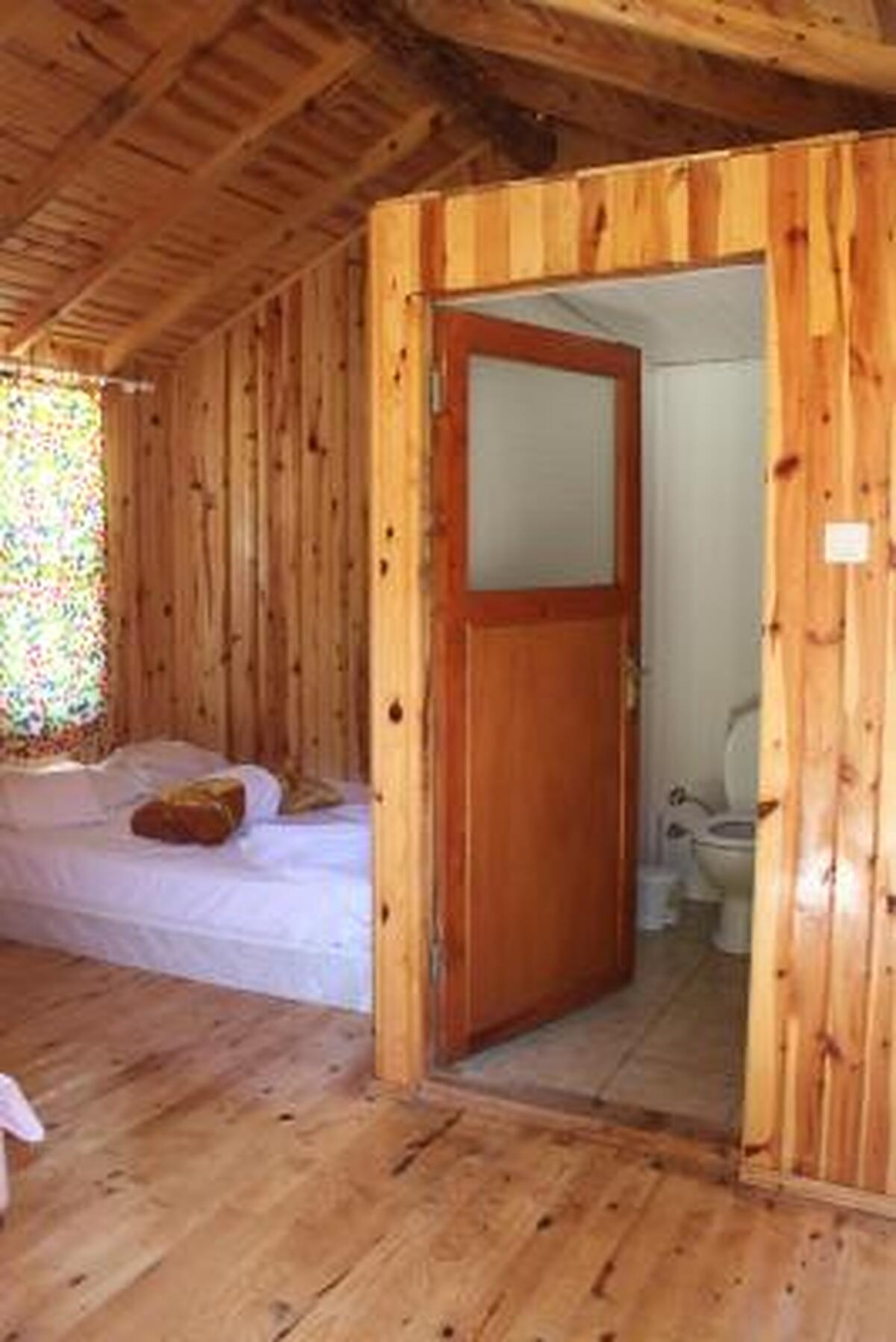 Jungle Bells Hostel