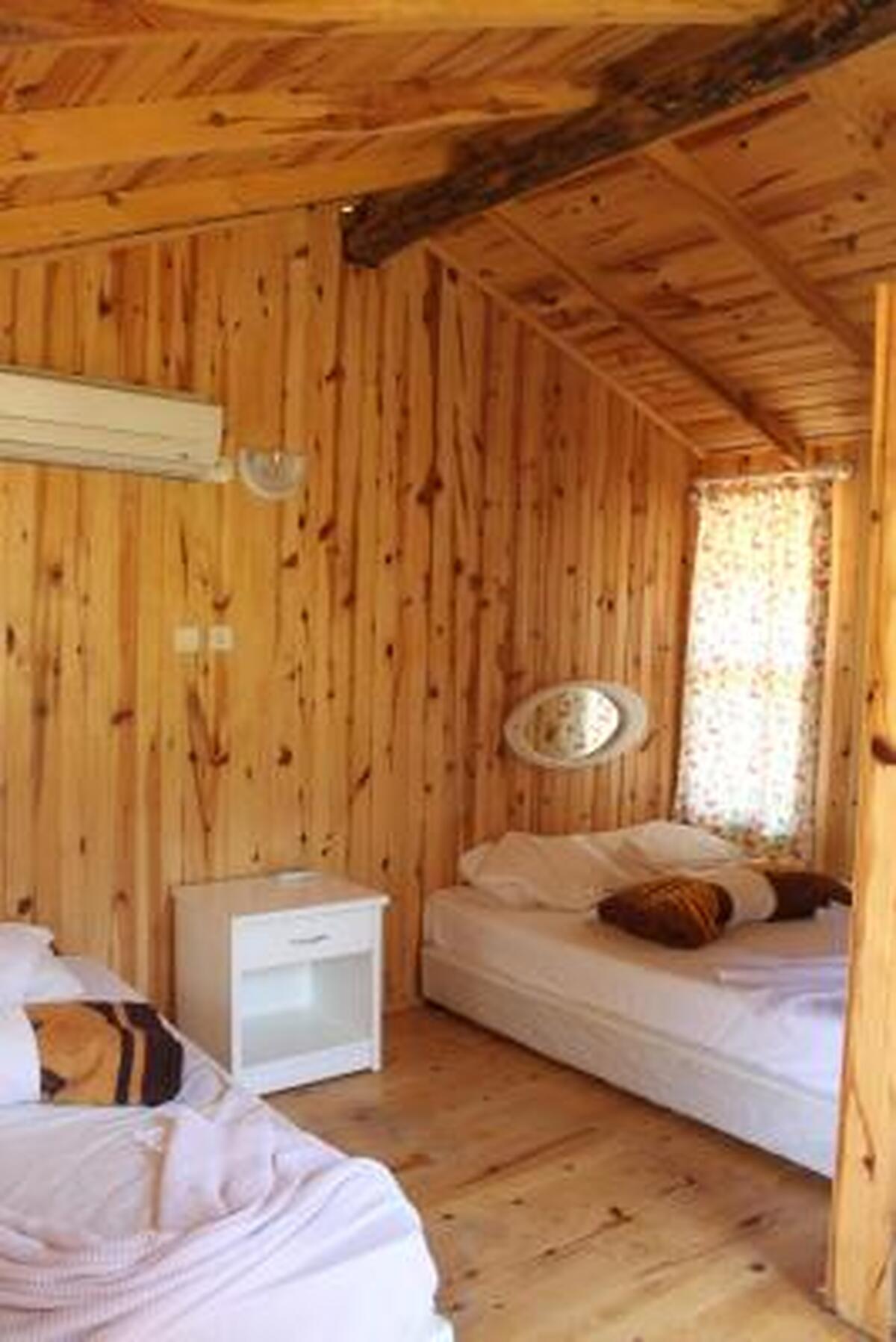 Jungle Bells Hostel