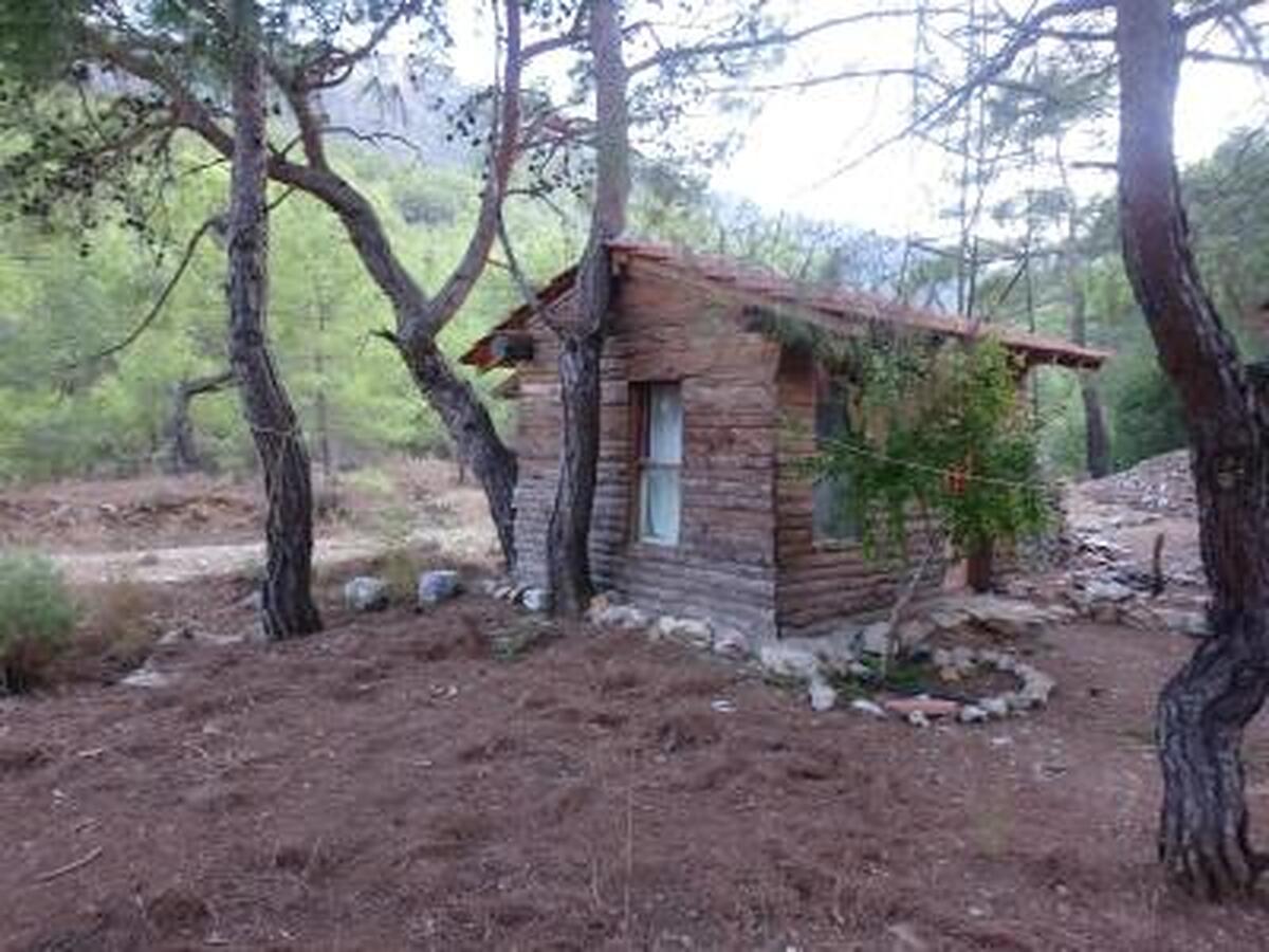 Jungle Bells Hostel