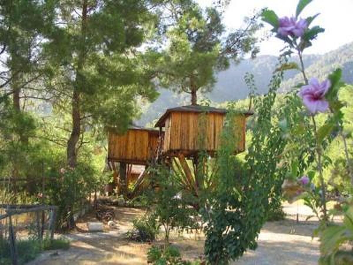 Jungle Bells Hostel
