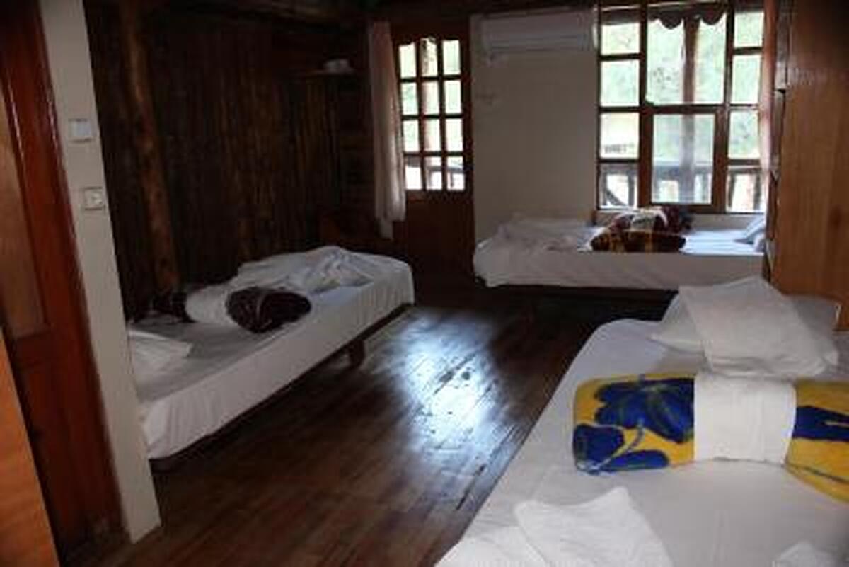 Jungle Bells Hostel