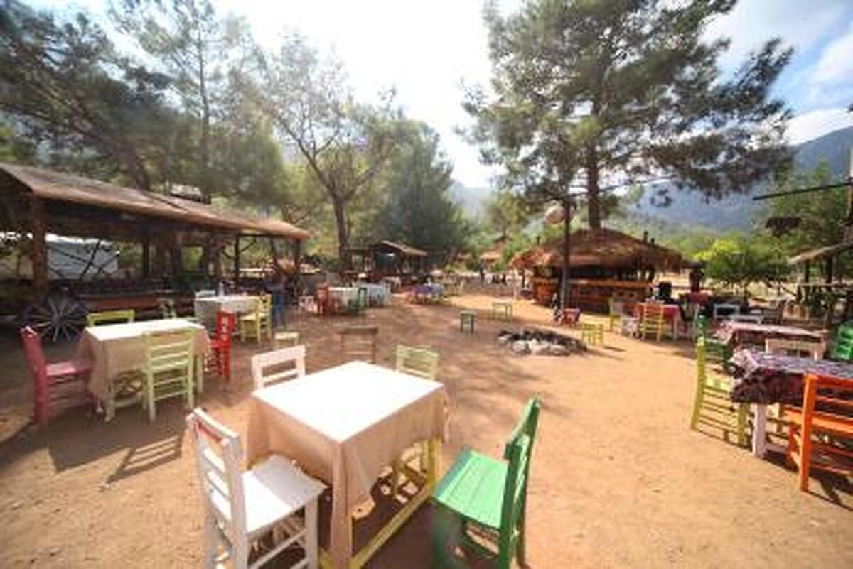 Jungle Bells Hostel
