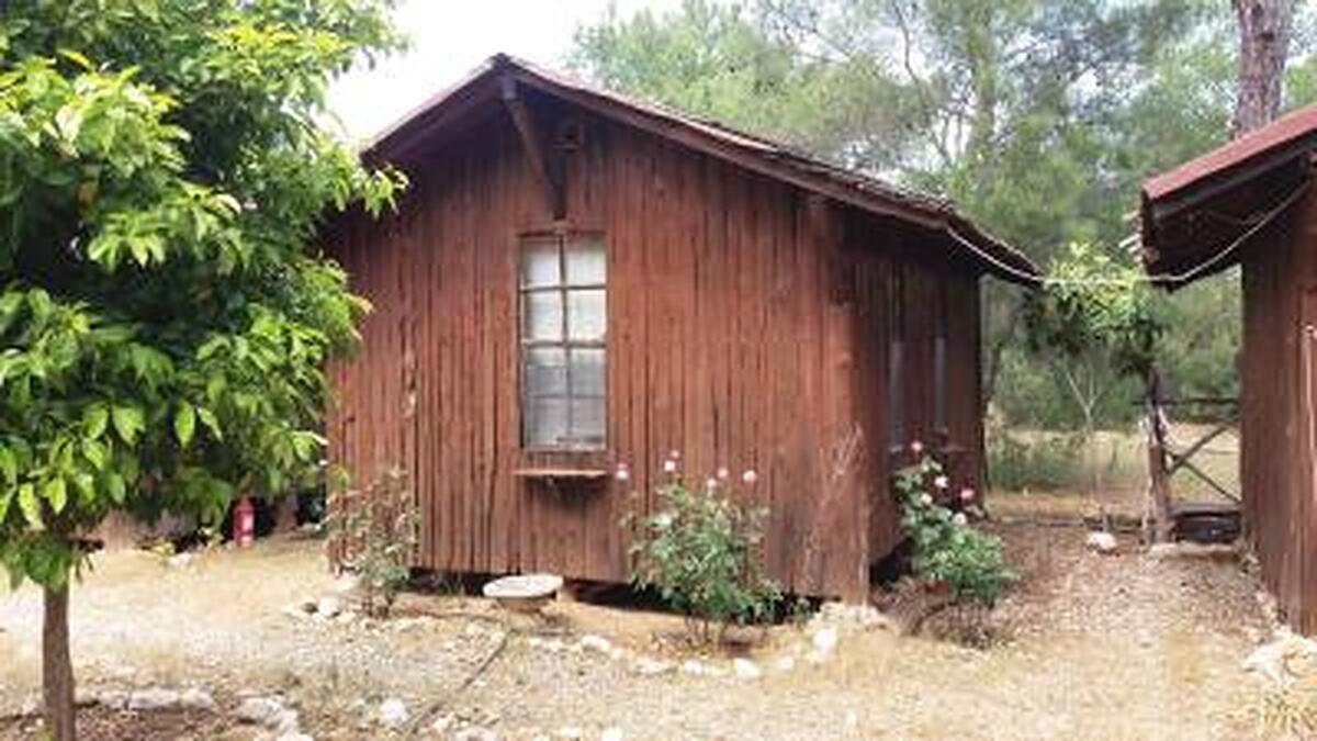 Jungle Bells Hostel