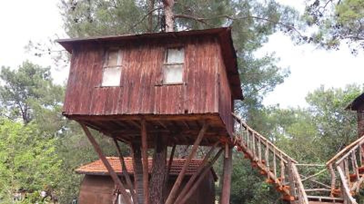 Jungle Bells Hostel