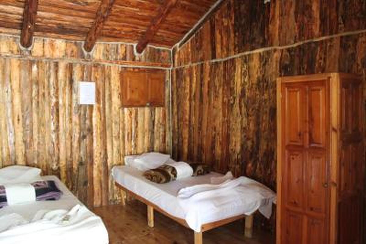 Jungle Bells Hostel