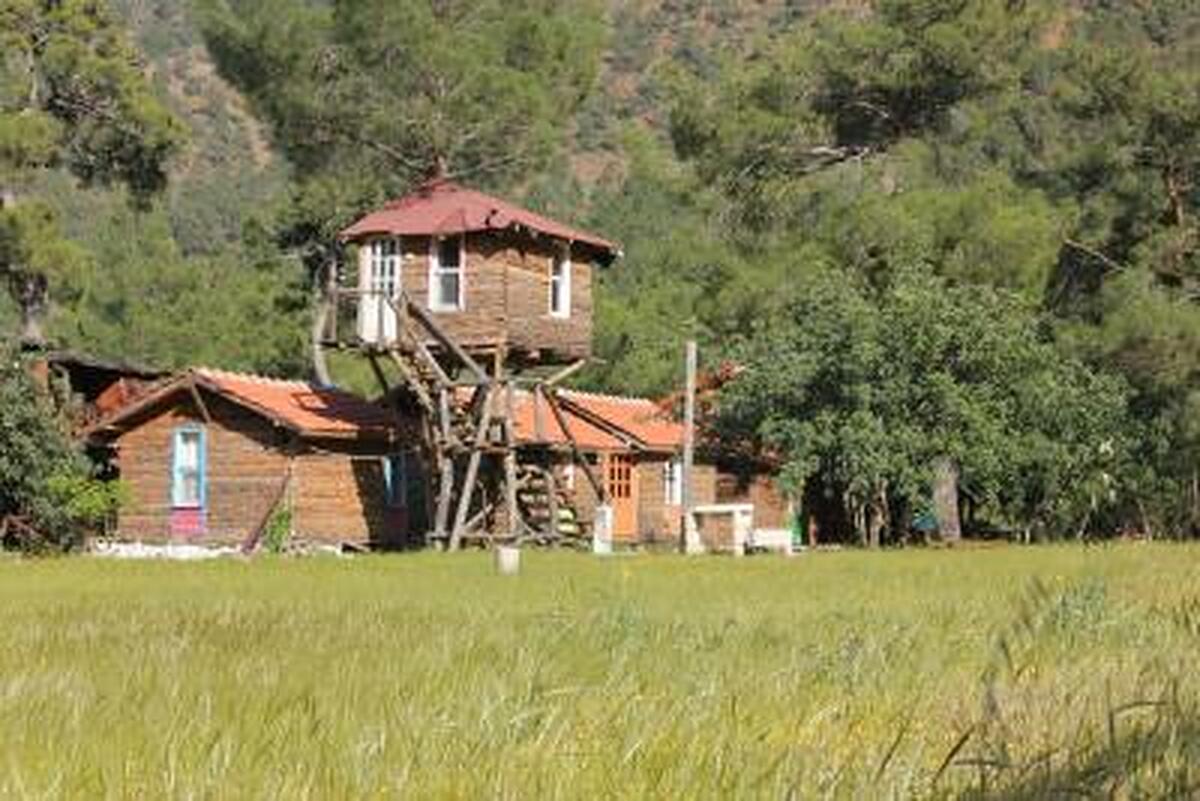 Jungle Bells Hostel