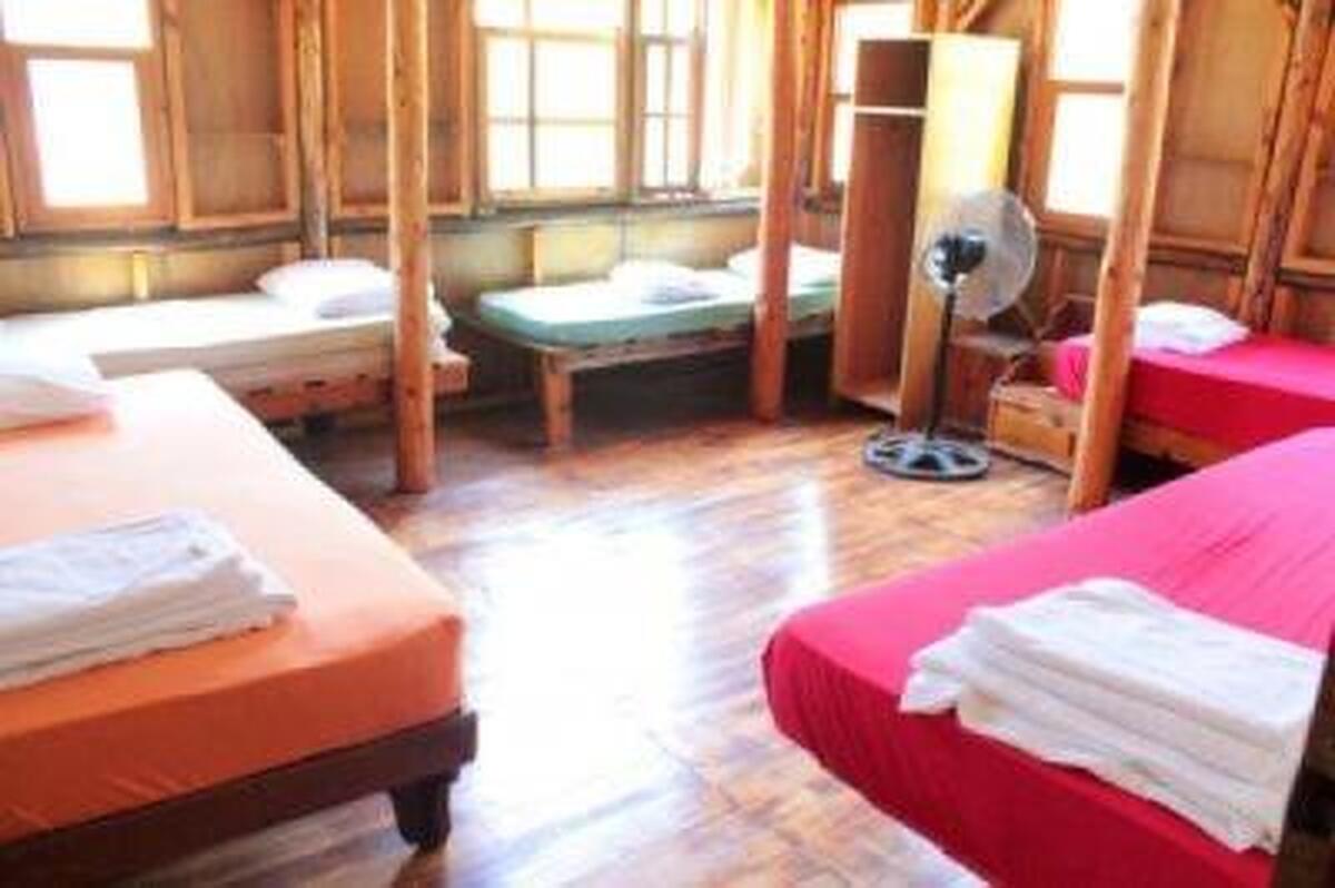 Jungle Bells Hostel