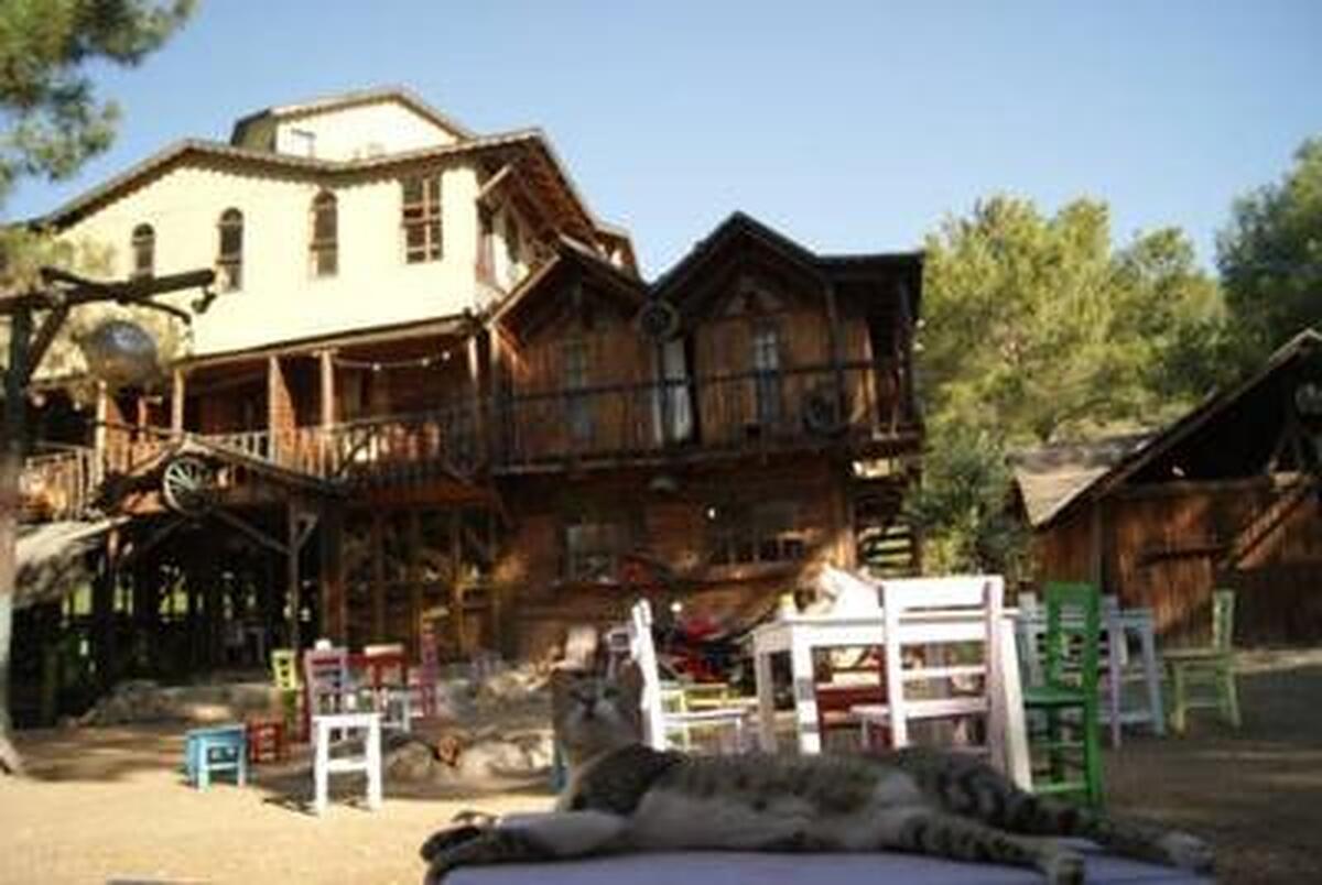 Jungle Bells Hostel