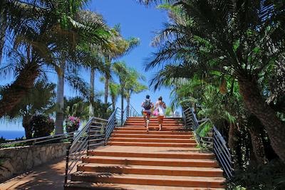 هتل آلتامار