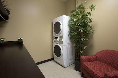 میکرتل این اند سویتز ویبورن