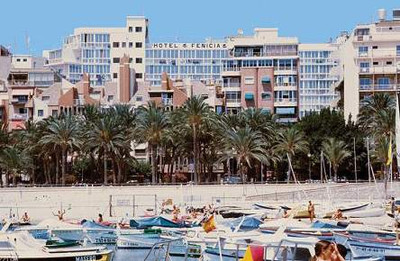 ماجیک فنیشیا