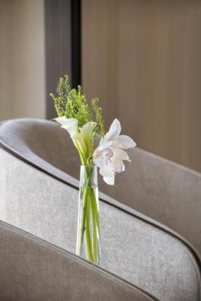 شانگری-لا هتل دبی