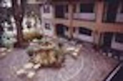 دانه دوی بلو واتر هتل