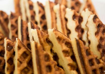 اوکورا گاردن