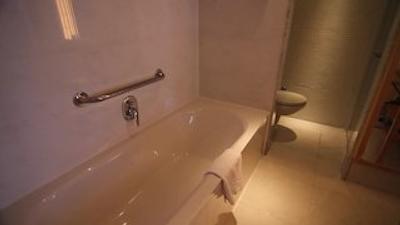 فالکنستینر هتل ادریانا