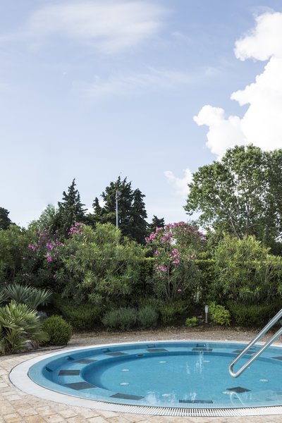 فالکنستینر هتل ادریانا