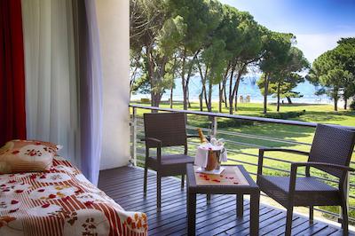 فالکنستینر هتل ادریانا