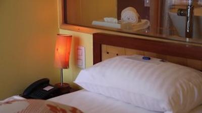 فالکنستینر هتل ادریانا