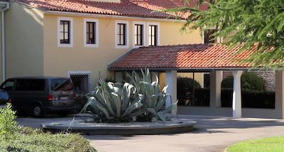 فالکنستینر هتل ادریانا