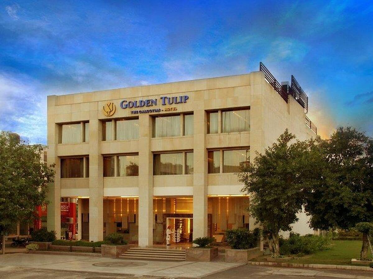 گولدن تولیپ گورگان