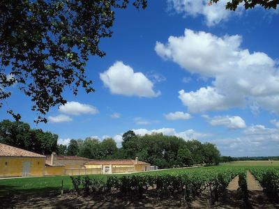 هتل مرکور بردیوکس سنتر گار ساینت-جین