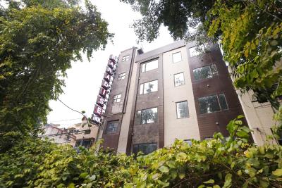 پارادایس این