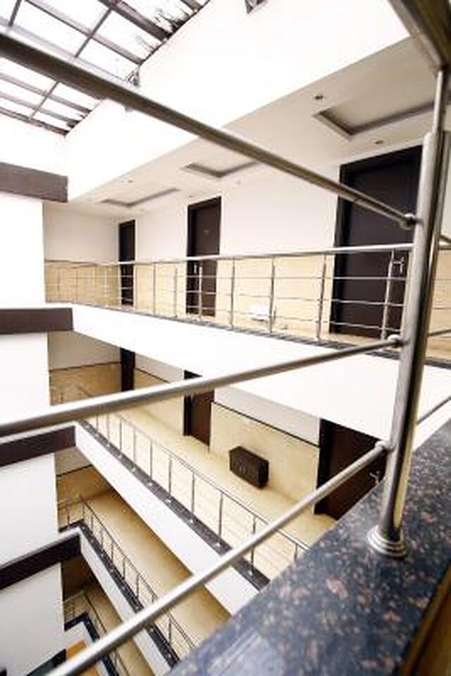 پارادایس این