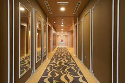 پلت رویال رفلکشن