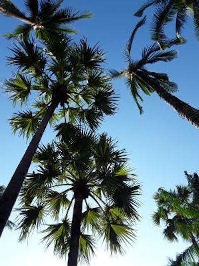 رویال فاوادی ویلیج