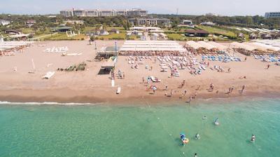 سارپ هتل بلک