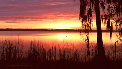 کریستال کو ریزرت