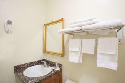 نایتز این ناکسویل هارپرز فری