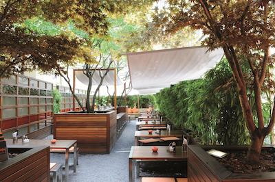 سُرل هتل سیدنهف