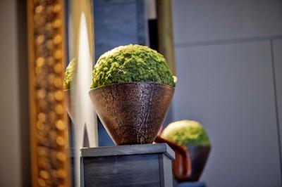 سُرل هتل سیدنهف