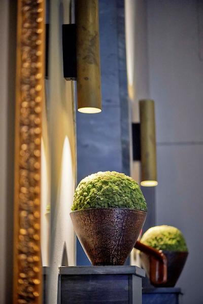 سُرل هتل سیدنهف